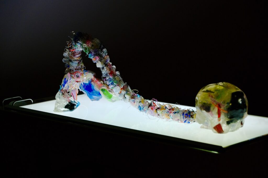 Œuvre de Mona Young-eun Kim au Pavillon Populaire Montpellier 25 Novembre 2025 - Crédit Photo Eric Petit, Artistes de France