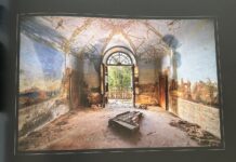 Revue de presse: Les photos de Romain Thiery en portfolio dans le magazine Animan