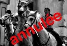 A Vauvert (Gard), la nouvelle mairie RN annule une exposition photo