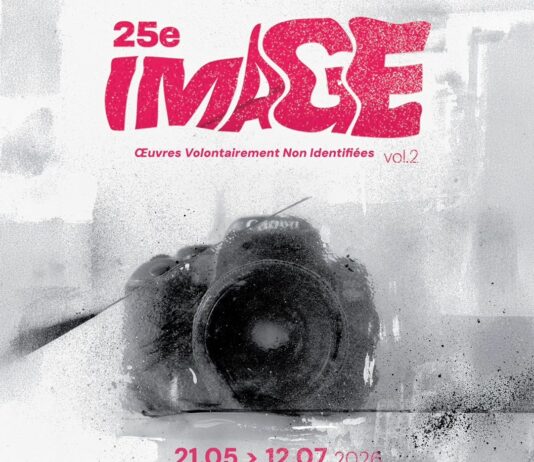 A L’Aérochrome de Blagnac, 45 artistes interprètent une même photo du photographe Younès Farhi
