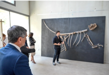 Première nationale: L’Académie de Montpellier lance le Flac, le premier Fonds Lycéen d’art contemporain
