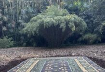 Ursula Caruel réalise deux créations avec les plantes locales, à Anduze et Montpellier