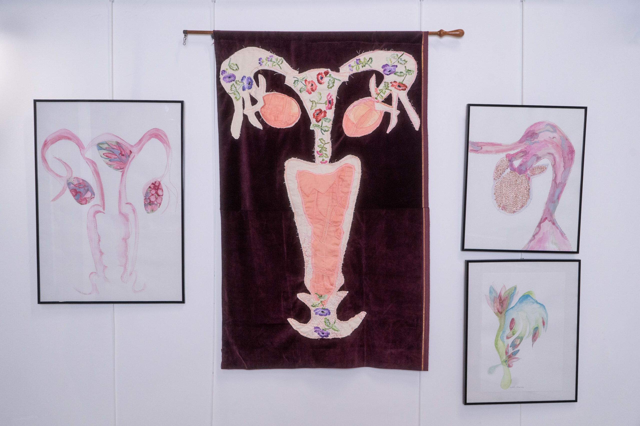 blasonuterus
